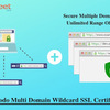 How Wildcard SSL Certificates Works?