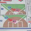 6.01 (i)本塁での衝突プレイ