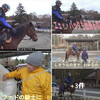 『乗馬』も「バイク」と同じで、常にテンションが、かかっている事が大切なんだね　🐎