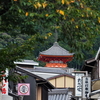 京都、大阪への旅㉗清水寺編 最終回『清水坂復路』