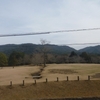 奈良公園へ観梅に行ってまいりました。
