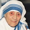 《Mother Teresa Calendar 2011発売中》