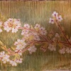 メモ　桜
