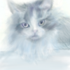 お絵描き自由画帳