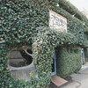 FUSSA BASE SIDE STREET沿いの旨げなハンバーグ屋さん『木を植えるレストランオーロラ』に入店です！