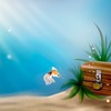 極度のあがり症が治ったッ　最終話