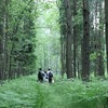 スパロー 都市伝説の殺人鬼