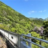 静かなる屏風岩山🌿緑と沢のせせらぎに癒されて