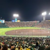 【阪神甲子園球場】今年初甲子園！野外での野球観戦はいい気持ち！だが天候には勝てず…