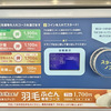 コインランドリーで羽毛布団を洗ってみた