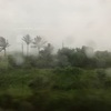 夏は台湾に行こうと思います（またかよ）