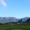 暦の上では秋になりました…