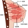 実年齢よりバストは老けるの？