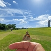 街ウォッチング　VOL-3-1　真夏のゴルフを蝶🦋と楽しむ！！