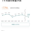 CAF療法３クール目の体調、等々