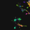 (ヒト) ブラウザで動作するシングルセルAI基盤モデル CytoVerse