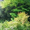 悩んでいます。