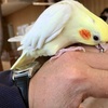 【動物好き必見】小田原ダイナシティの「モフ　アニマルカフェ」に行って来たよ