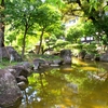 横網町公園【訪問編④】〜日本庭園〜