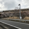 雨戸の修繕