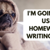 REASONS WHY ONE SHOULD USE HOMEWORK WRITING HELP