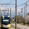 富山市電だけでは無い、北アルプスを望むトラム　春旅・富山⑩