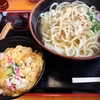 三重・津市(旧久居市)の人気店で『ごぼ天うどん&親子丼』(三重・津市)