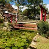 【岡山県の穴場!?紅葉スポット】高野山真言宗別格本山 木山寺（きやまじ）【行ってみた】