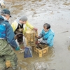 ＜伊豆沼＞バス侵入許さぬ　ため池で駆除