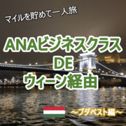 マイルを貯めて一人旅 ブダペスト編 Anaビジネスクラスでウィーン経由 Anaマイルでまったりハピタス生活 マイルを貯めて一人旅 ブダペスト編 Anaビジネスクラスでウィーン経由 Anaマイルでまったりハピタス生活