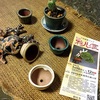 好きな事で夢中になる②