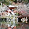 初冬の醍醐寺1下醍醐編