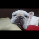AT＆K’s blog