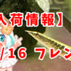 【入荷情報】11/16熱帯魚フレンド