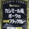 ETHNIC　カシミール風　ポークのブラックカレー