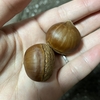 あれから8年経ちました