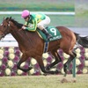 12/25（日）有馬記念（G1）の予想。本命は直前で変更しました。