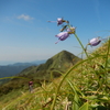 天狗塚 (1812m)で空中散歩