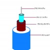 内的な体の霊的解剖学