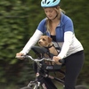 Buddyrider bicycle pet seat…自転車にワンコを乗せる。
