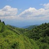 肴ならではの山菜料理　【ネマガリタケ】