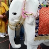 子どもの日の花まつり