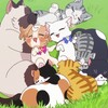 わんだふるぷりきゅあ第４６話感想