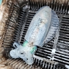 釣友６３投目「K丸氏の男鹿半島椿沖ティップラン」