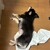 まろにー3954日目
