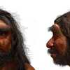 イゴール・バイドフ🍀人類学者、過去100万年の人類史全体の書き換えを提案
