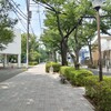 (巻四十五) 風邪熱の下がりてもとのみじめさに(右城暮石)