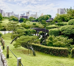 ★水前寺公園と街