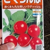 ラディッシュ栽培種蒔き