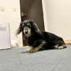 防水シーツ。